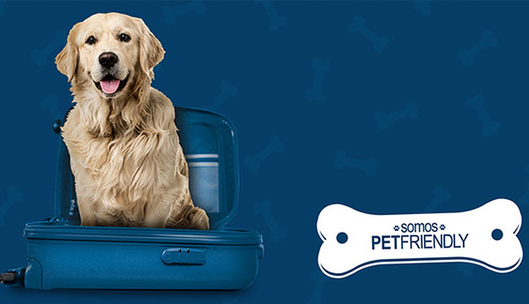 Want to travel with your pet? Hotel ILUNION Mérida Palace
